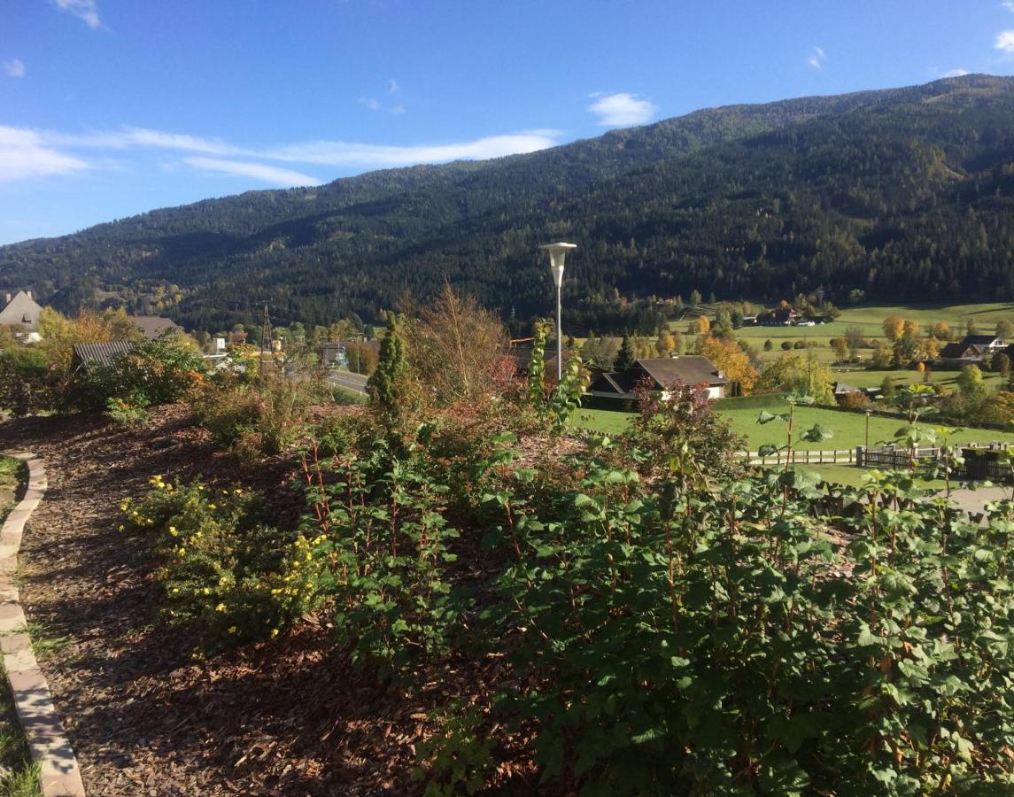 Villa Haus Georgi Sankt Lorenzen ob Murau Exterior foto